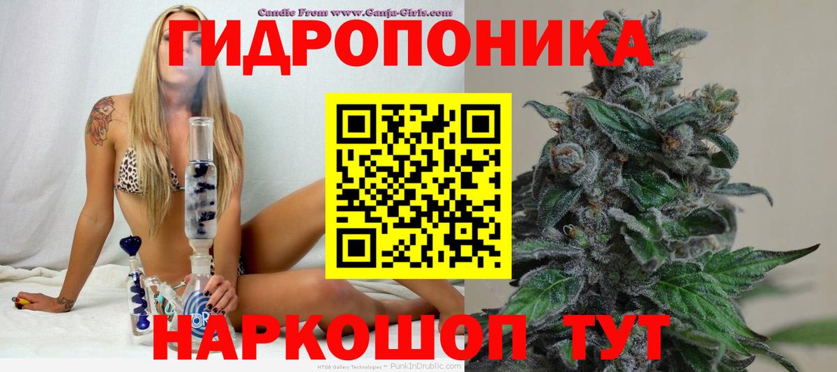 Бошки Шишки индика  Каннабис Ganja  Вход с VPN  Марихуана White Widow  Урус-Мартан 